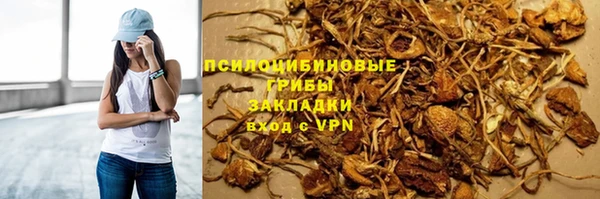 PSILOCYBIN Белокуриха